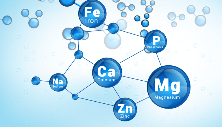 1 on 1 private tutoring